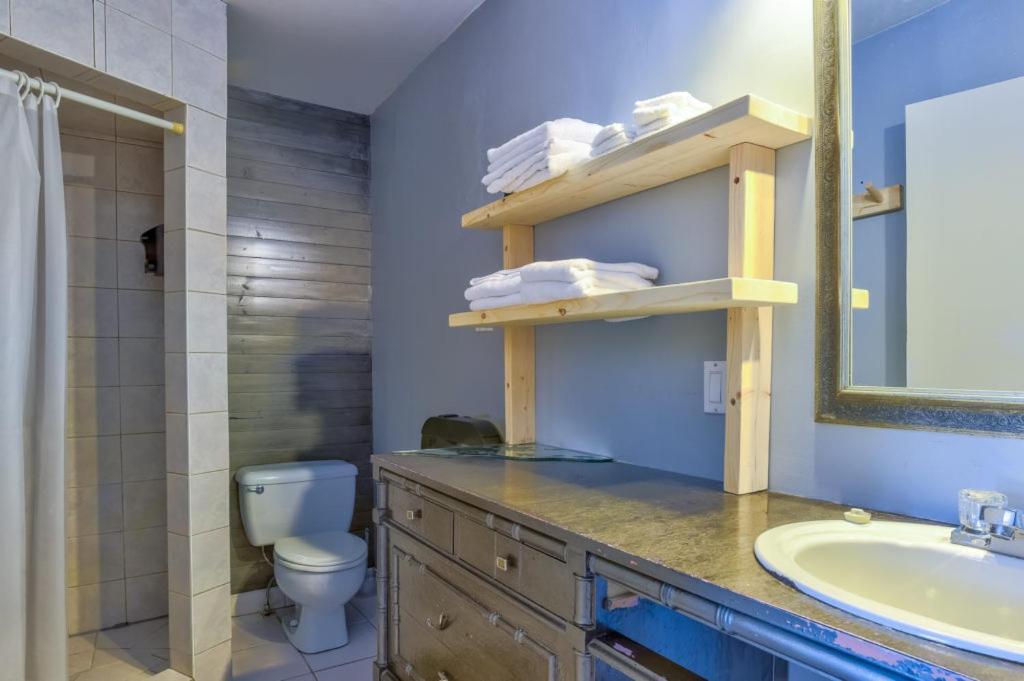 Auberge De Jeunesse Le Camp De Base LʼAnse-Saint-Jean Екстериор снимка